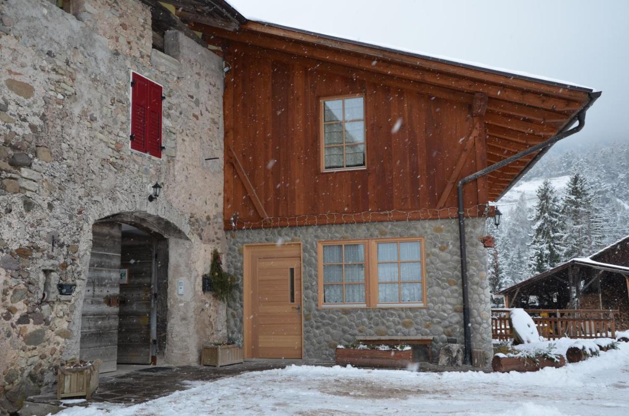 Villa Agritur Maso Forcola à Brez Extérieur photo